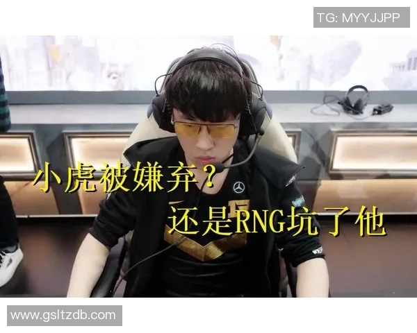 最新CSGO个人能力排行榜出炉RNG战队选手表现抢眼位居榜首